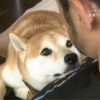 一弓